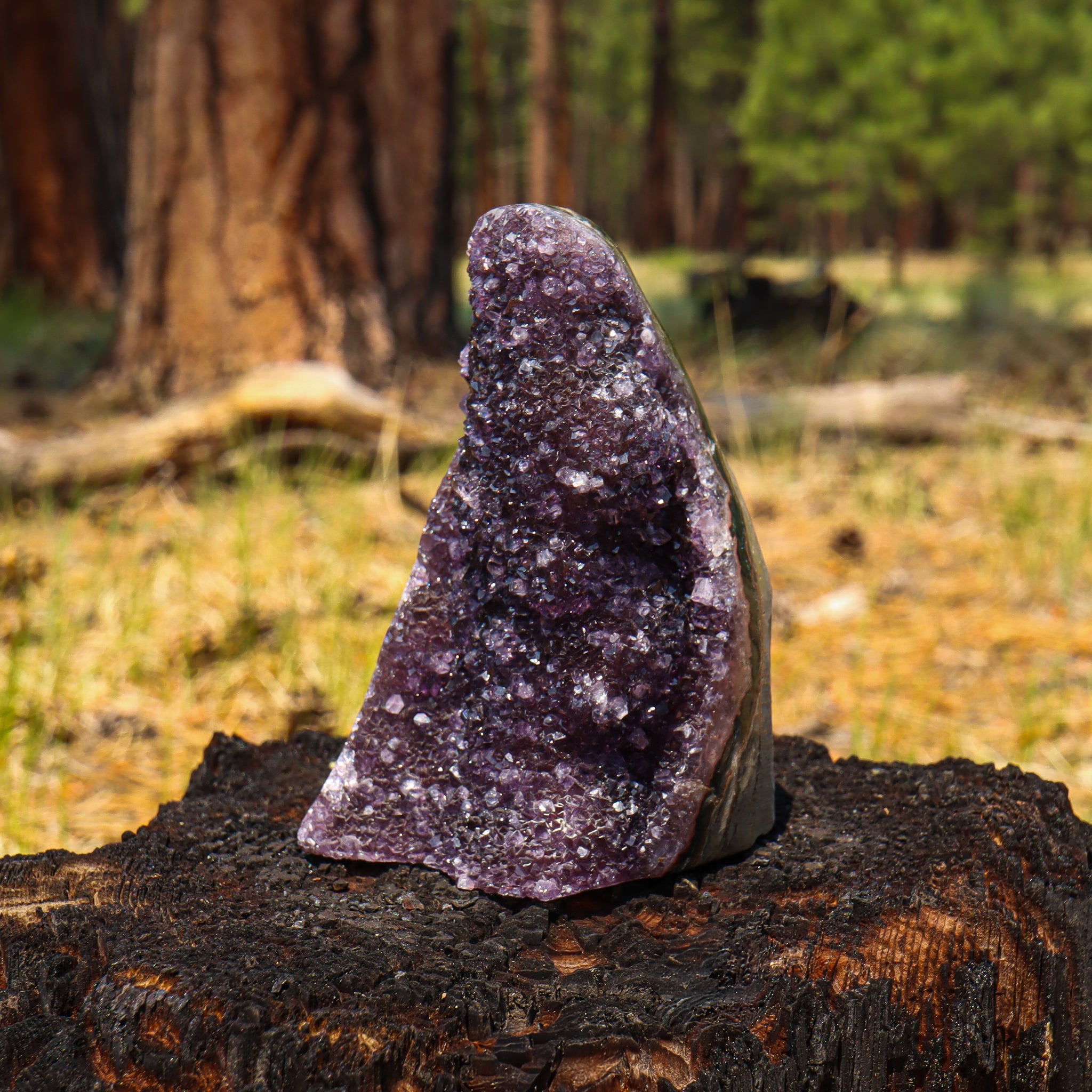 Amethyst Geode