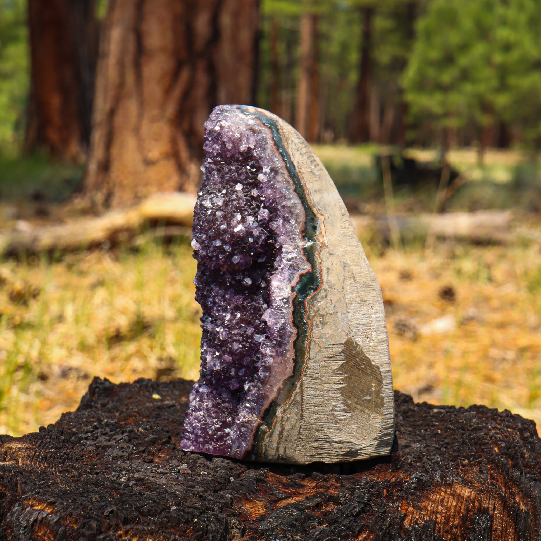 Amethyst Geode