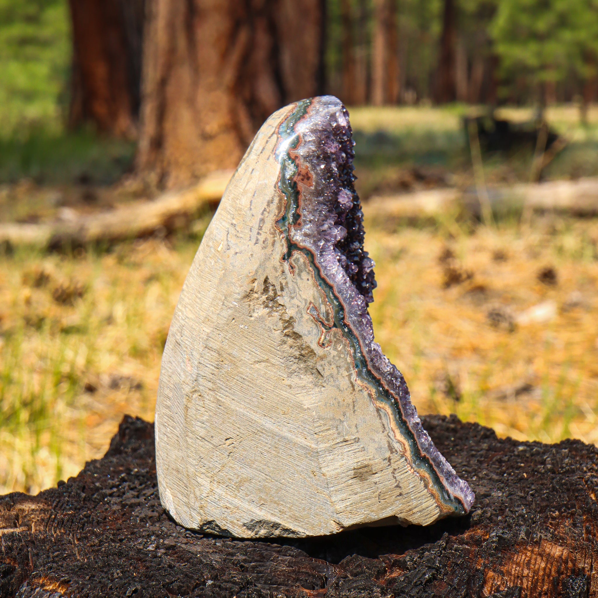 Amethyst Geode