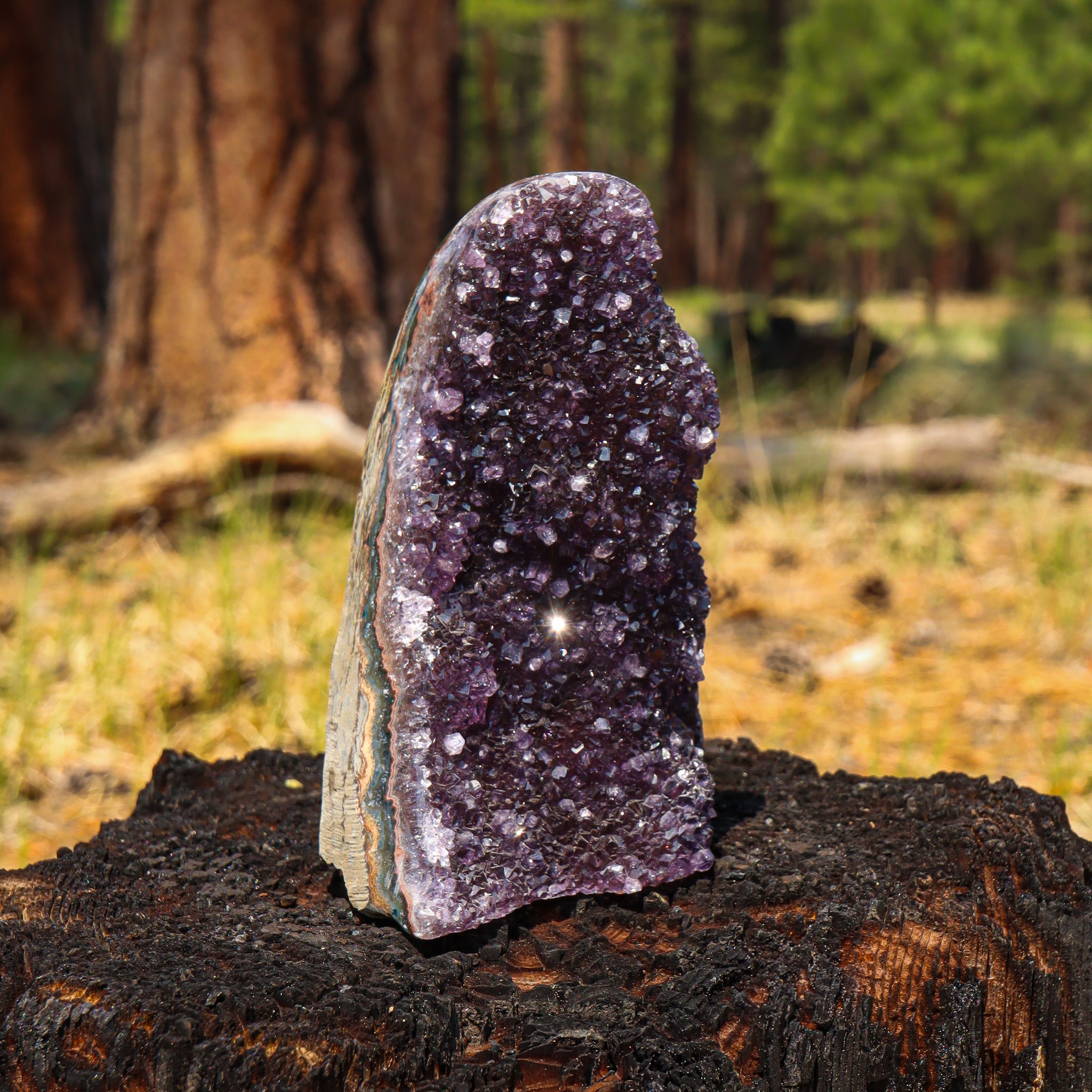 Amethyst Geode