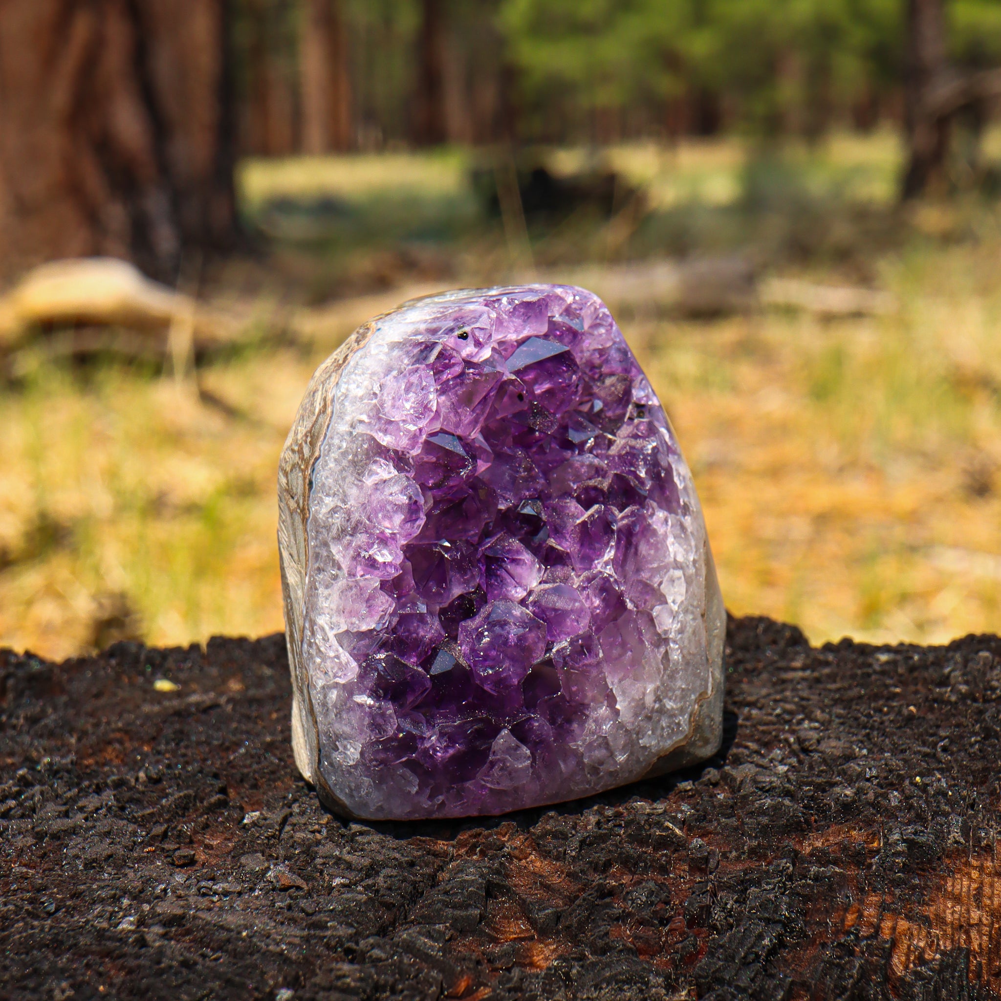 Amethyst Geode