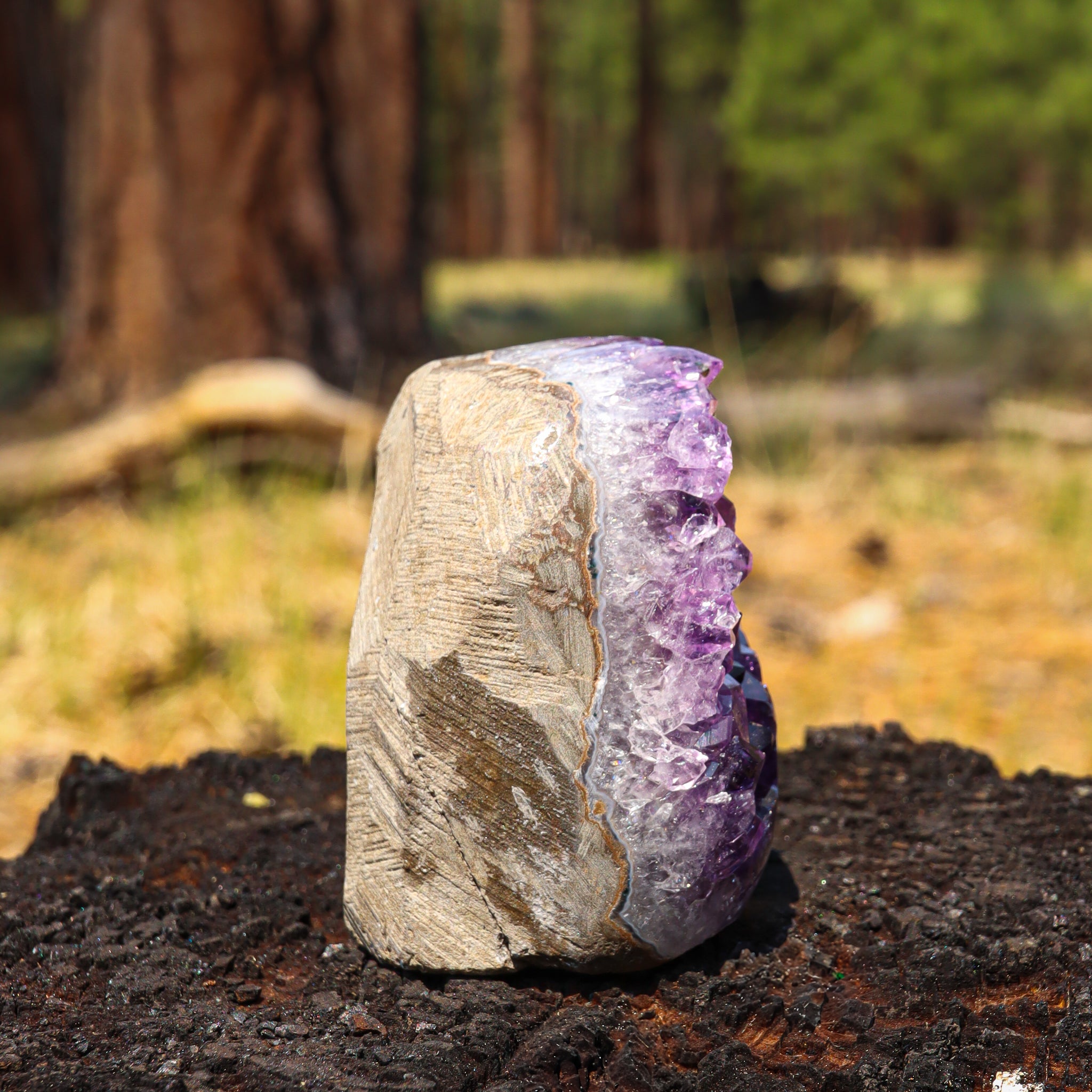 Amethyst Geode
