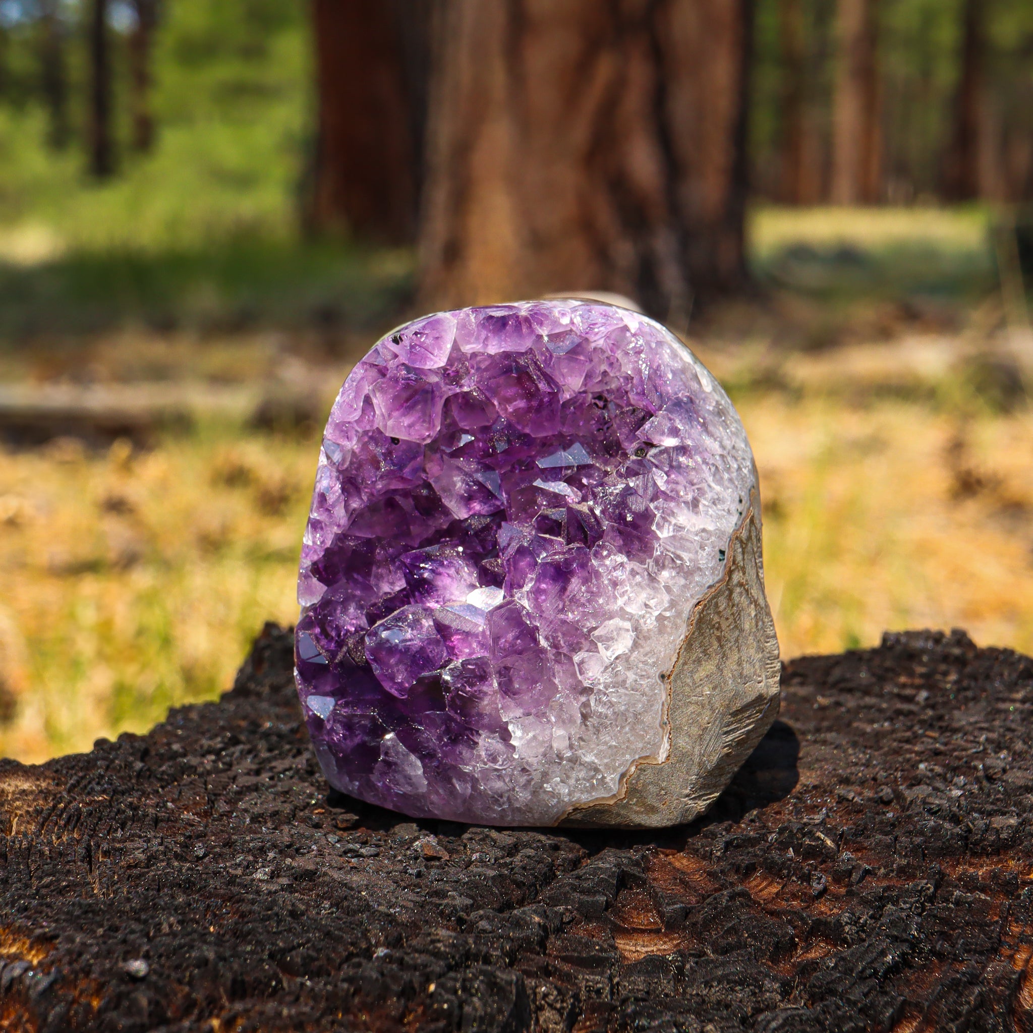 Amethyst Geode