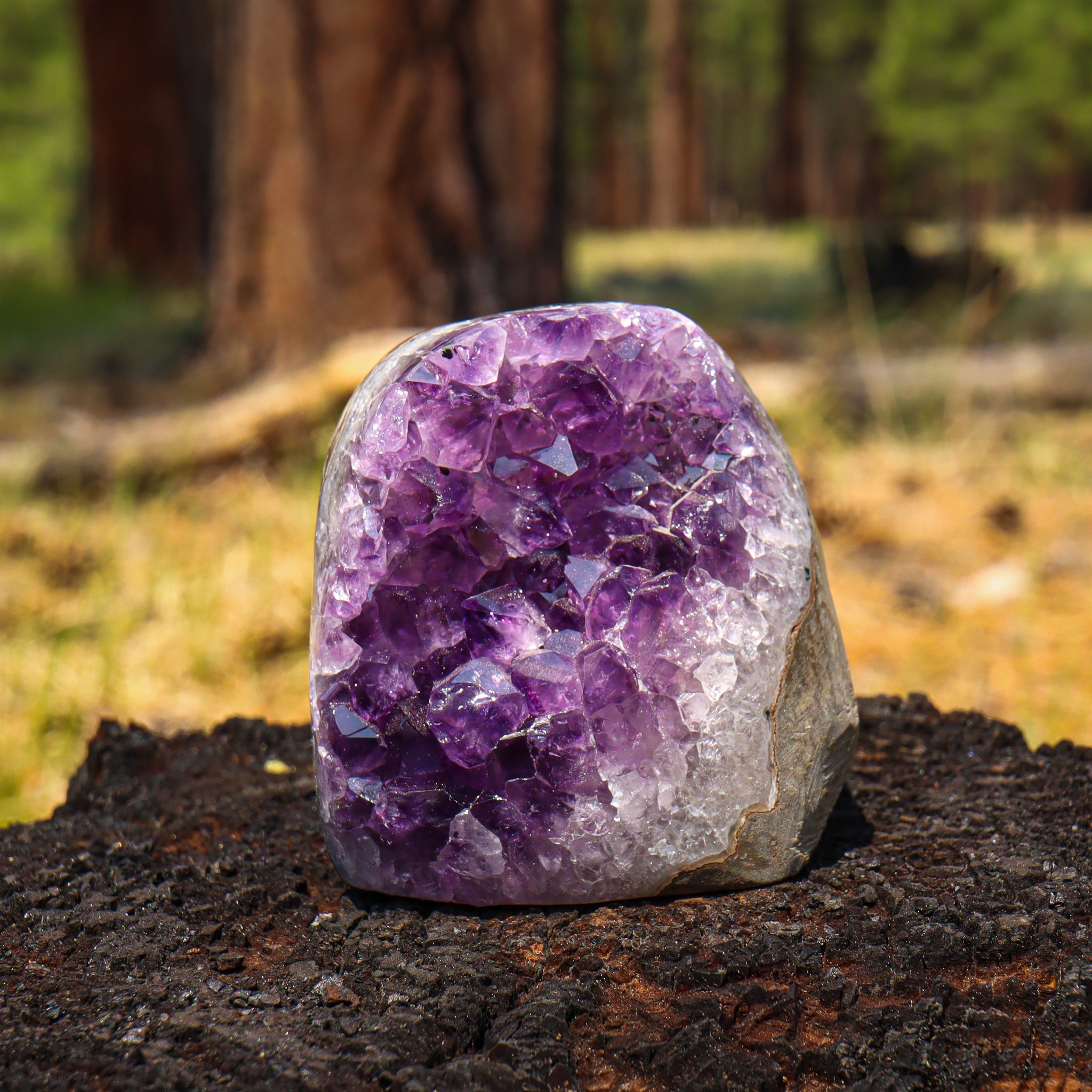 Amethyst Geode