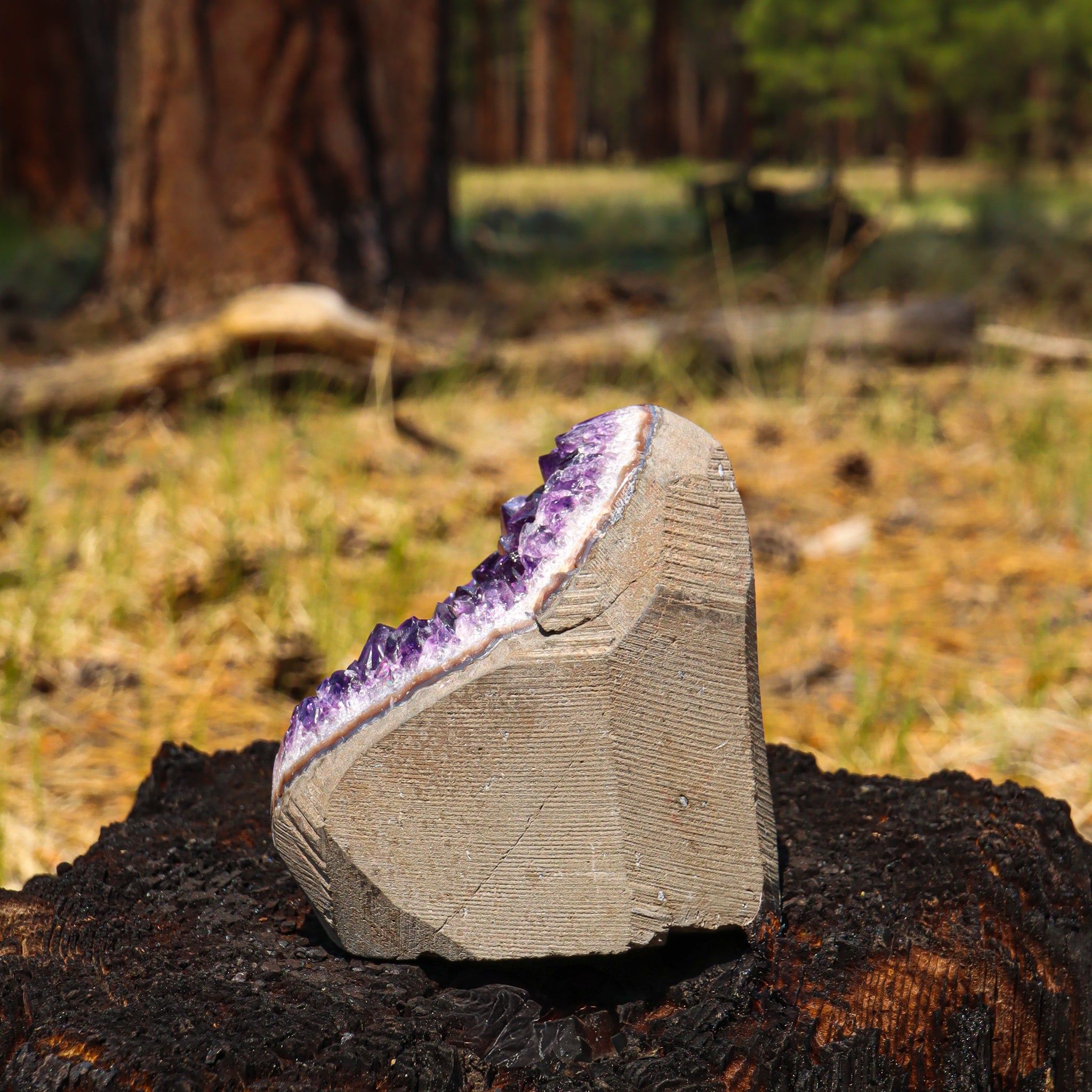 Amethyst Geode