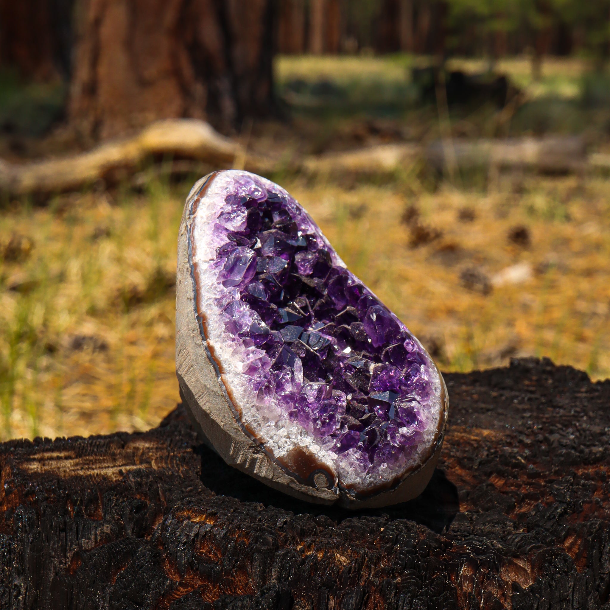 Amethyst Geode