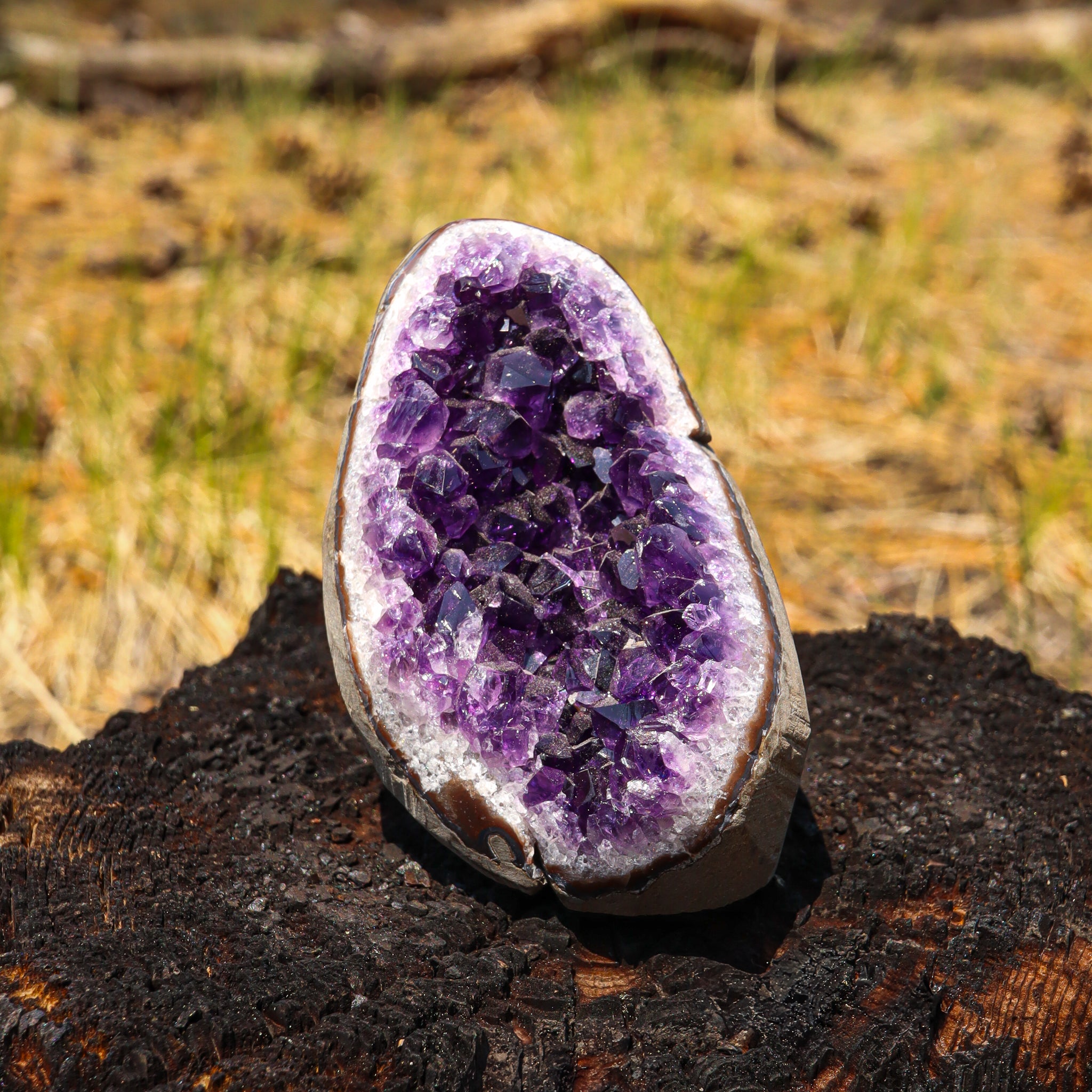 Amethyst Geode