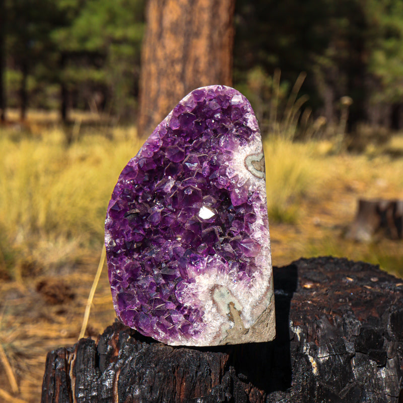 Amethyst Geode