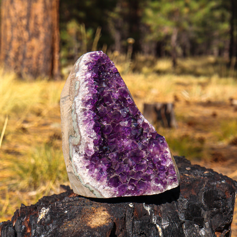 Amethyst Geode