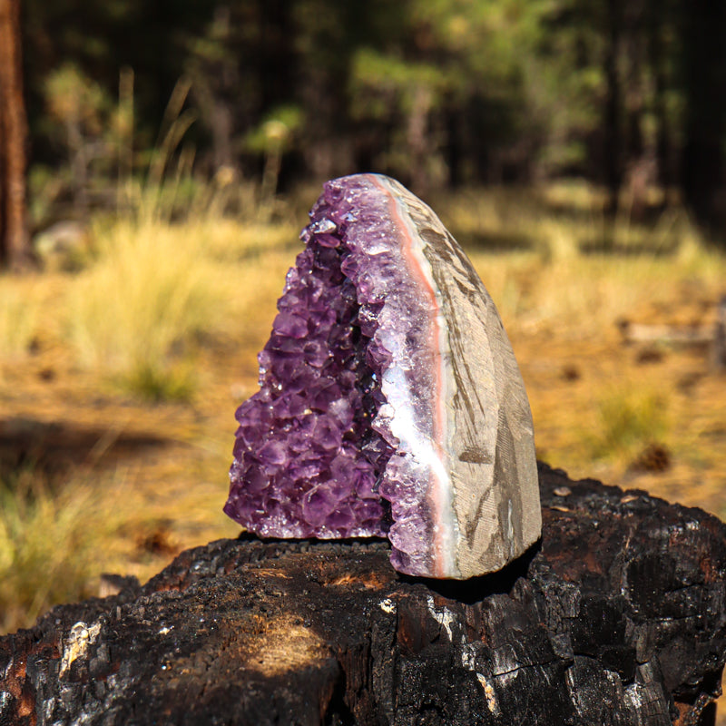 Amethyst Geode