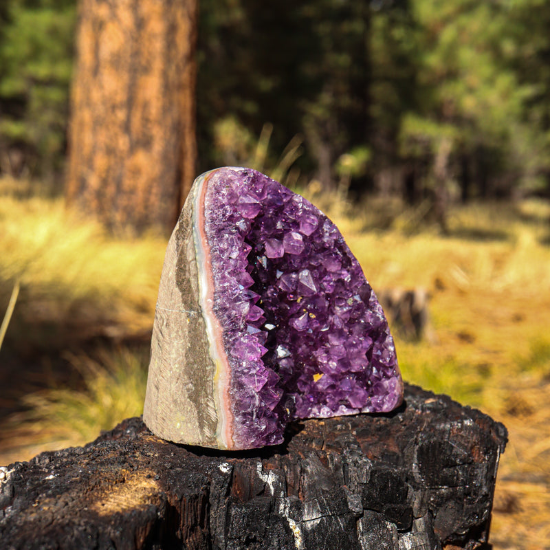 Amethyst Geode