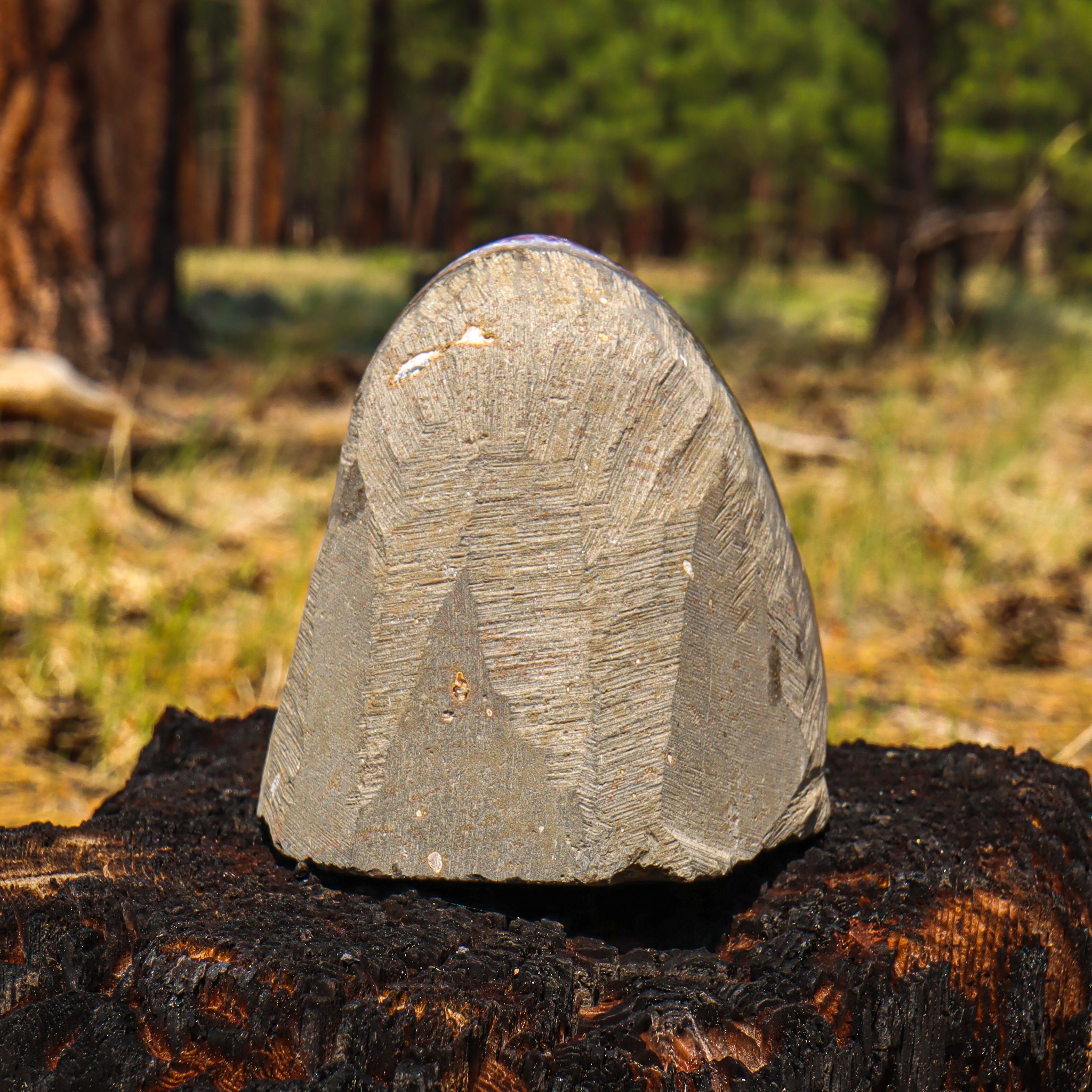 Amethyst Geode