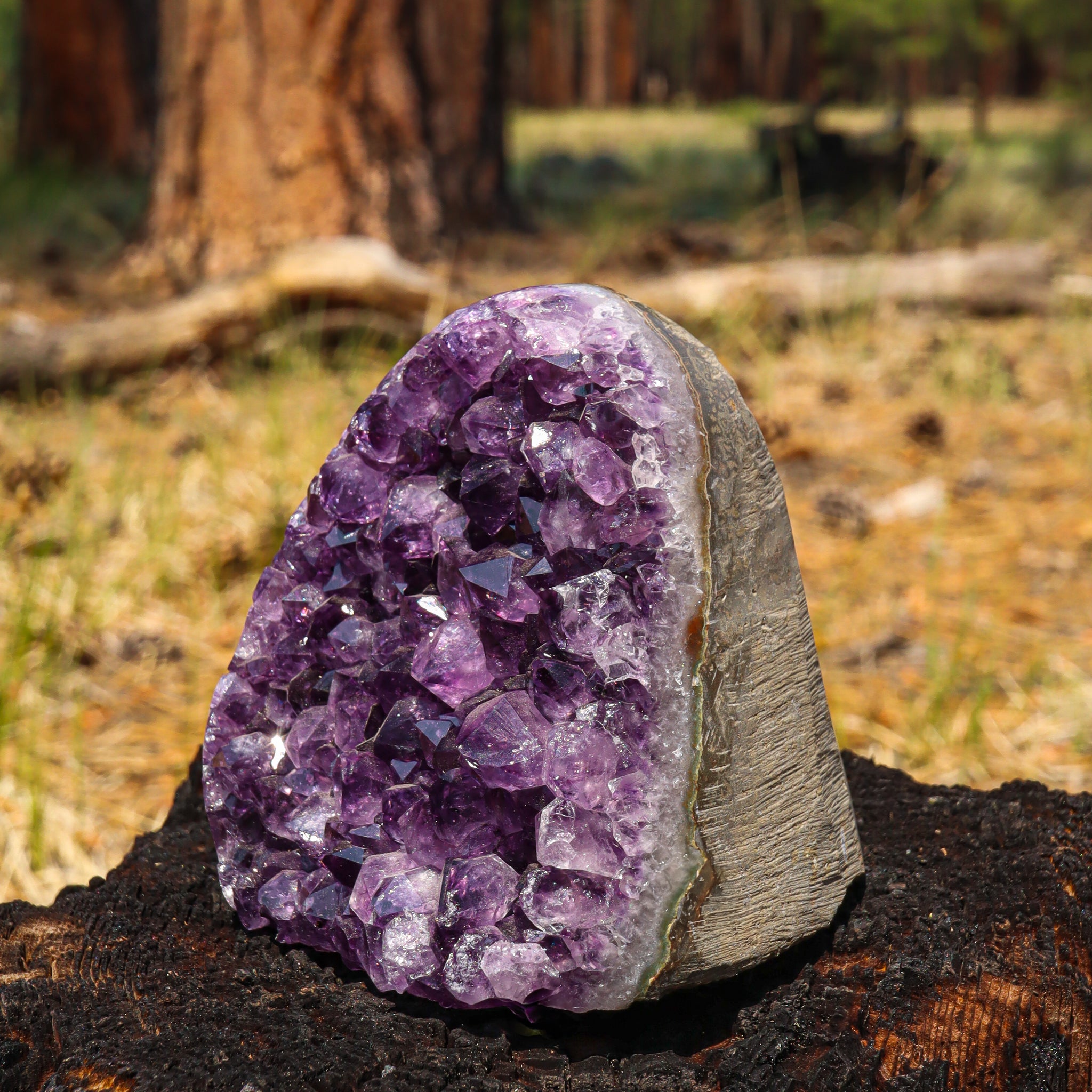 Amethyst Geode
