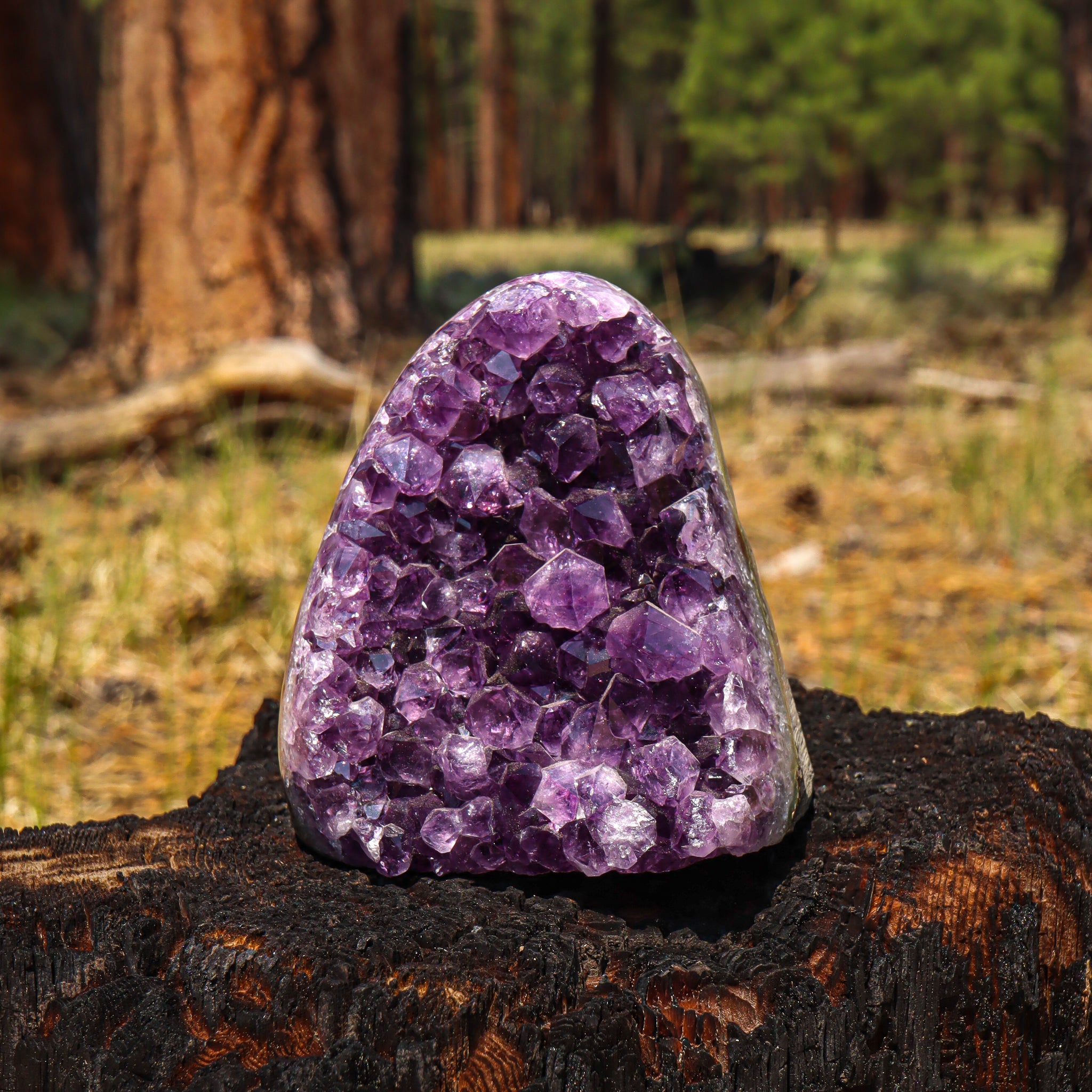 Amethyst Geode