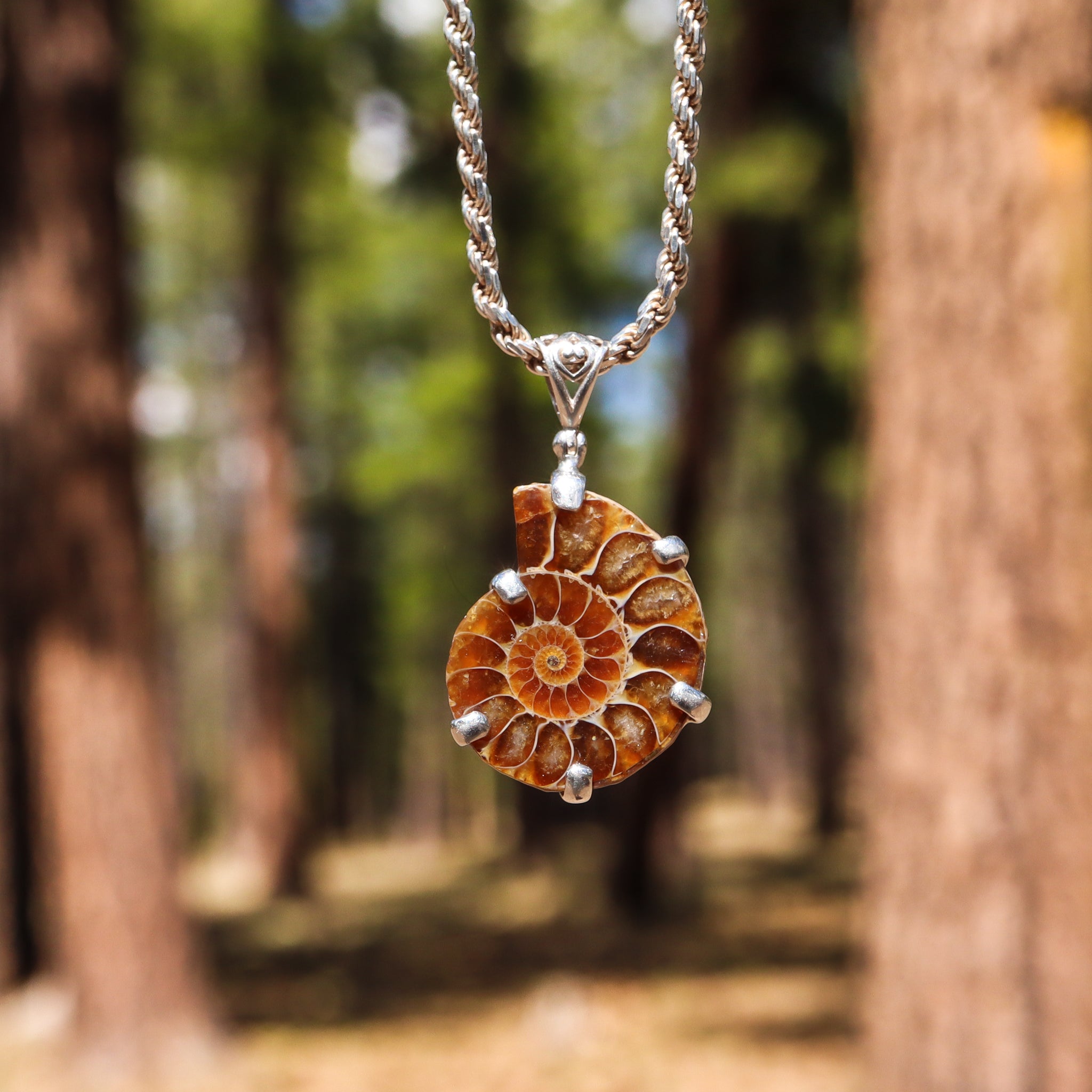 Ammonite Nautilus Pendant