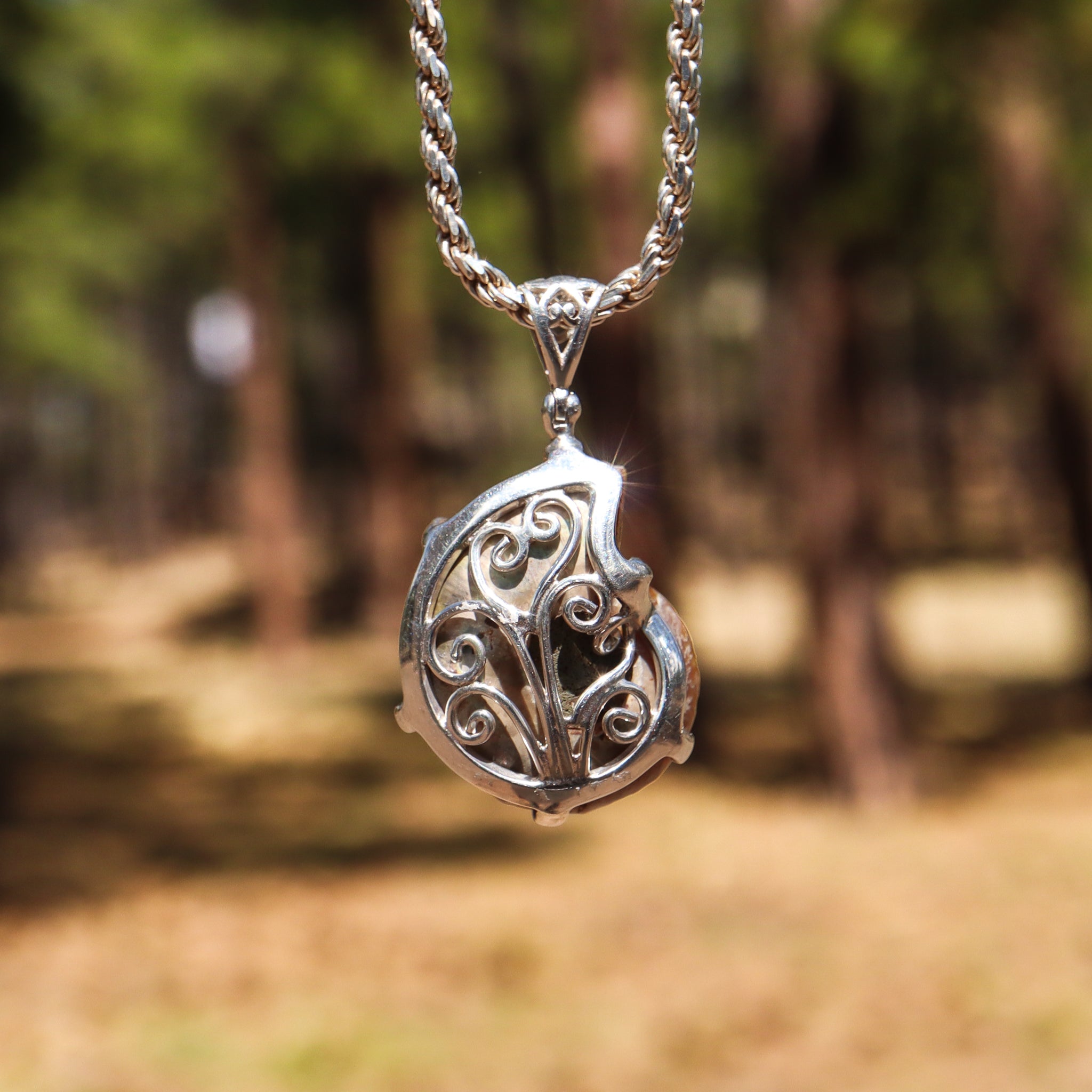 Ammonite Nautilus Pendant