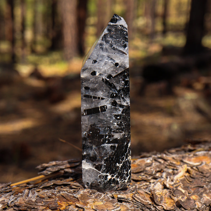 Tourmalinated Quartz Point