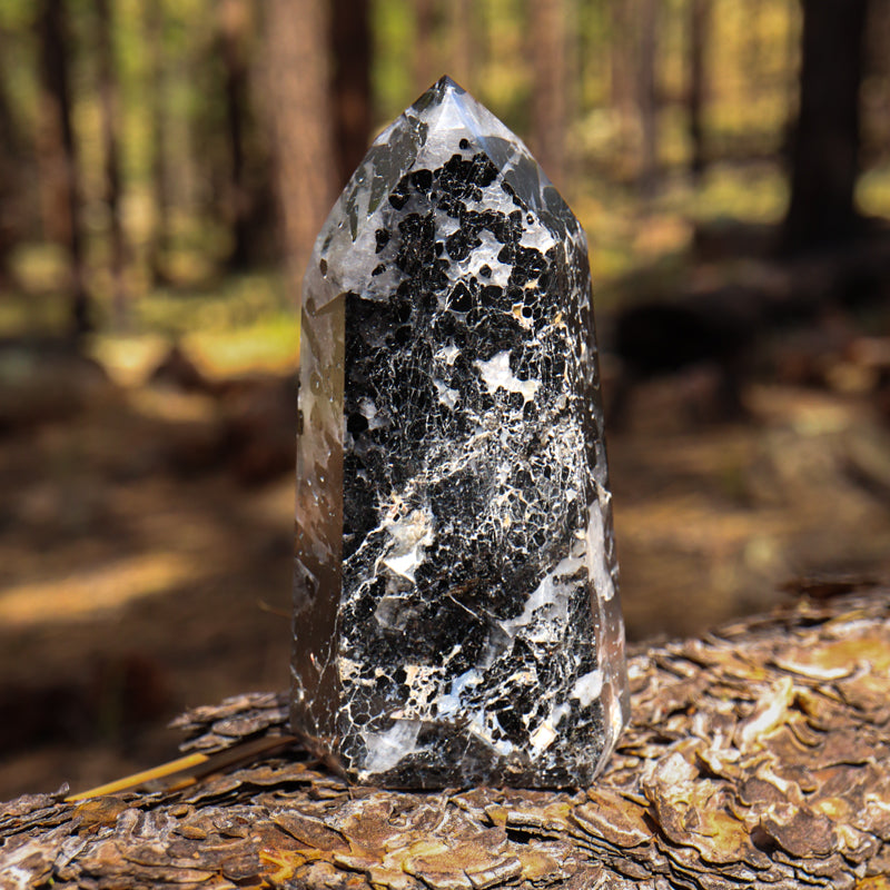 Tourmalinated Quartz Point