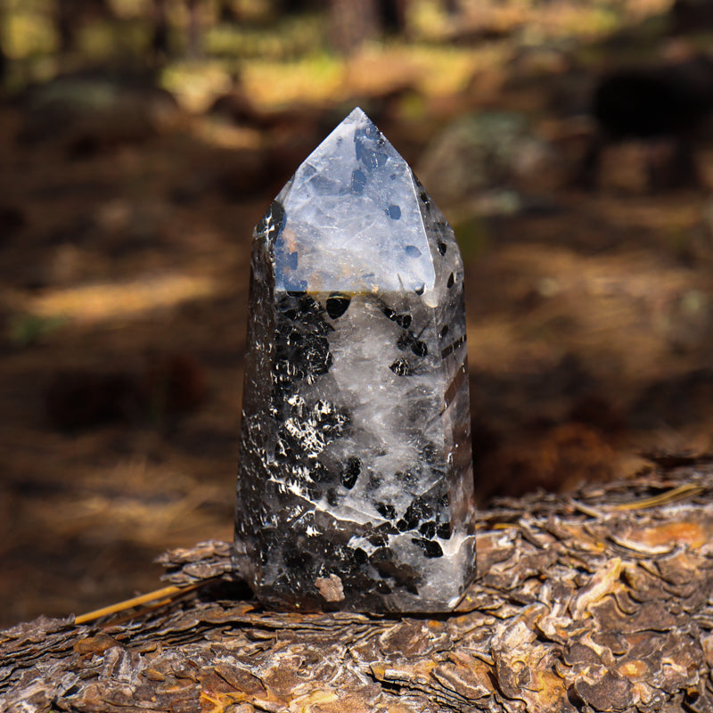 Tourmalinated Quartz Point