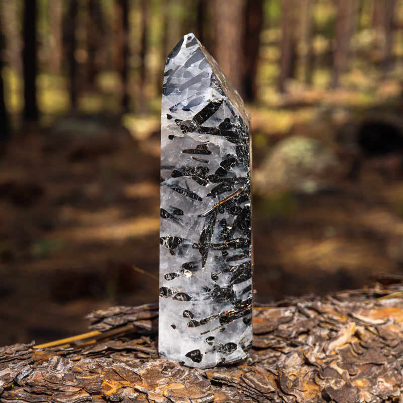 Tourmalinated Quartz Point