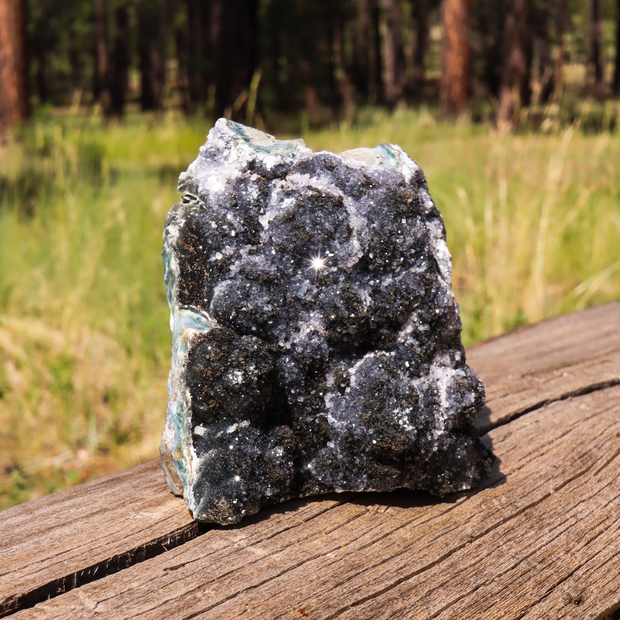 Black Amethyst Geode