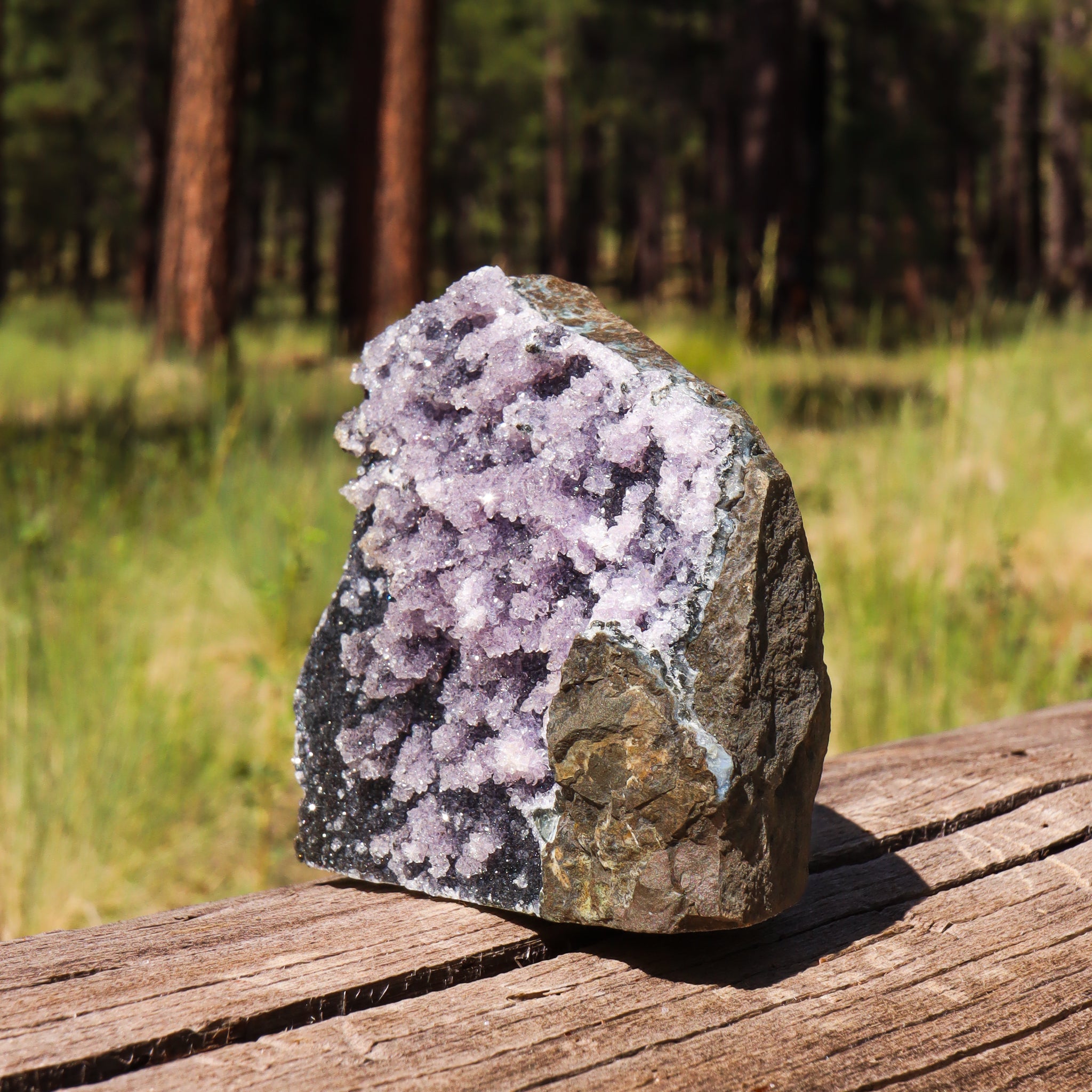 Black Amethyst Geode