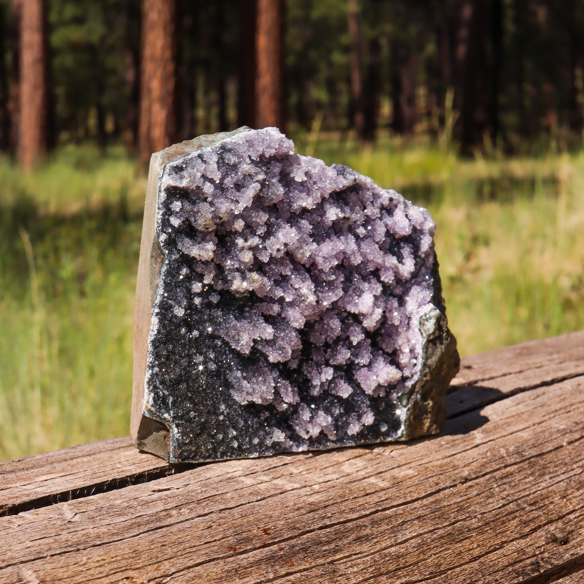 Black Amethyst Geode