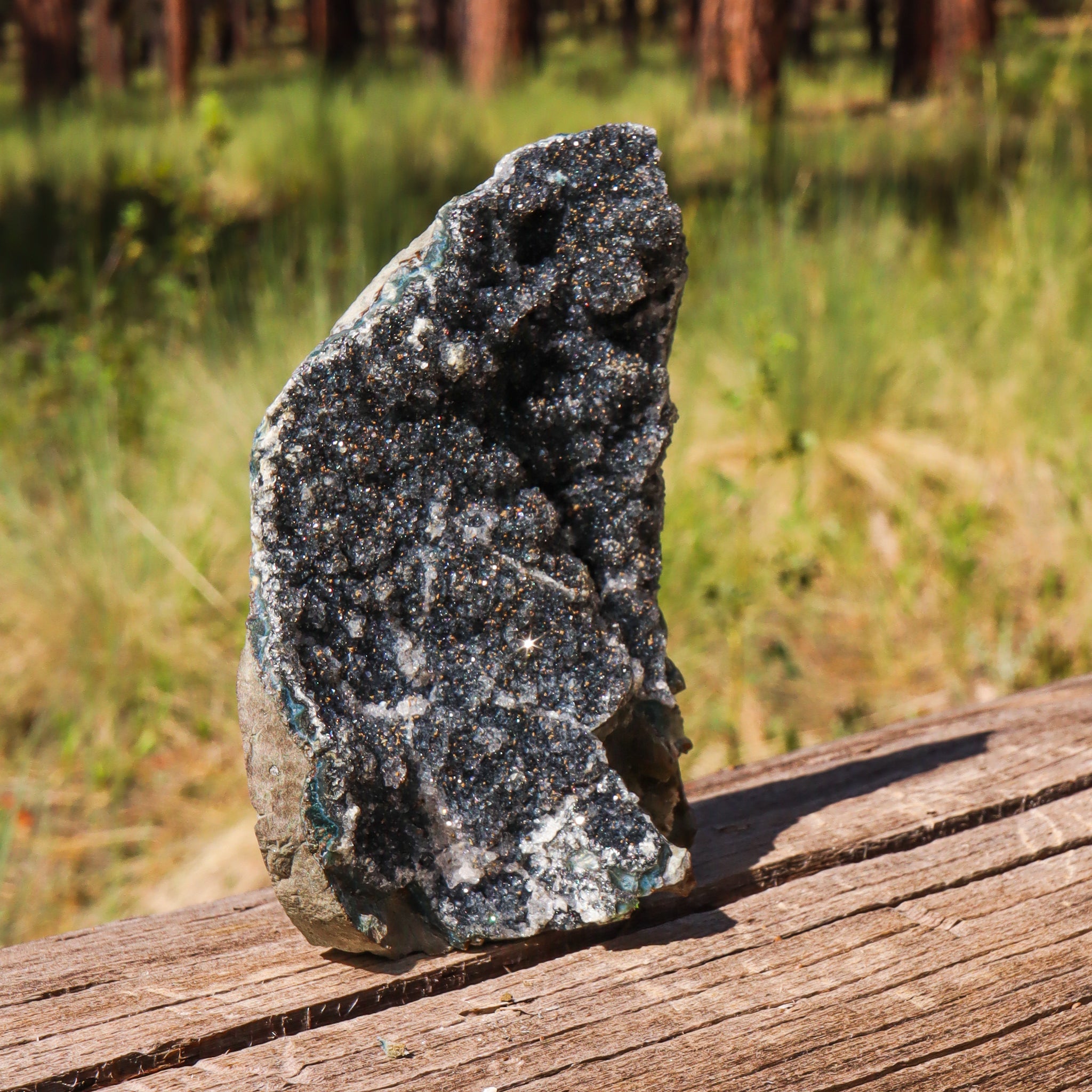 Black Amethyst Geode