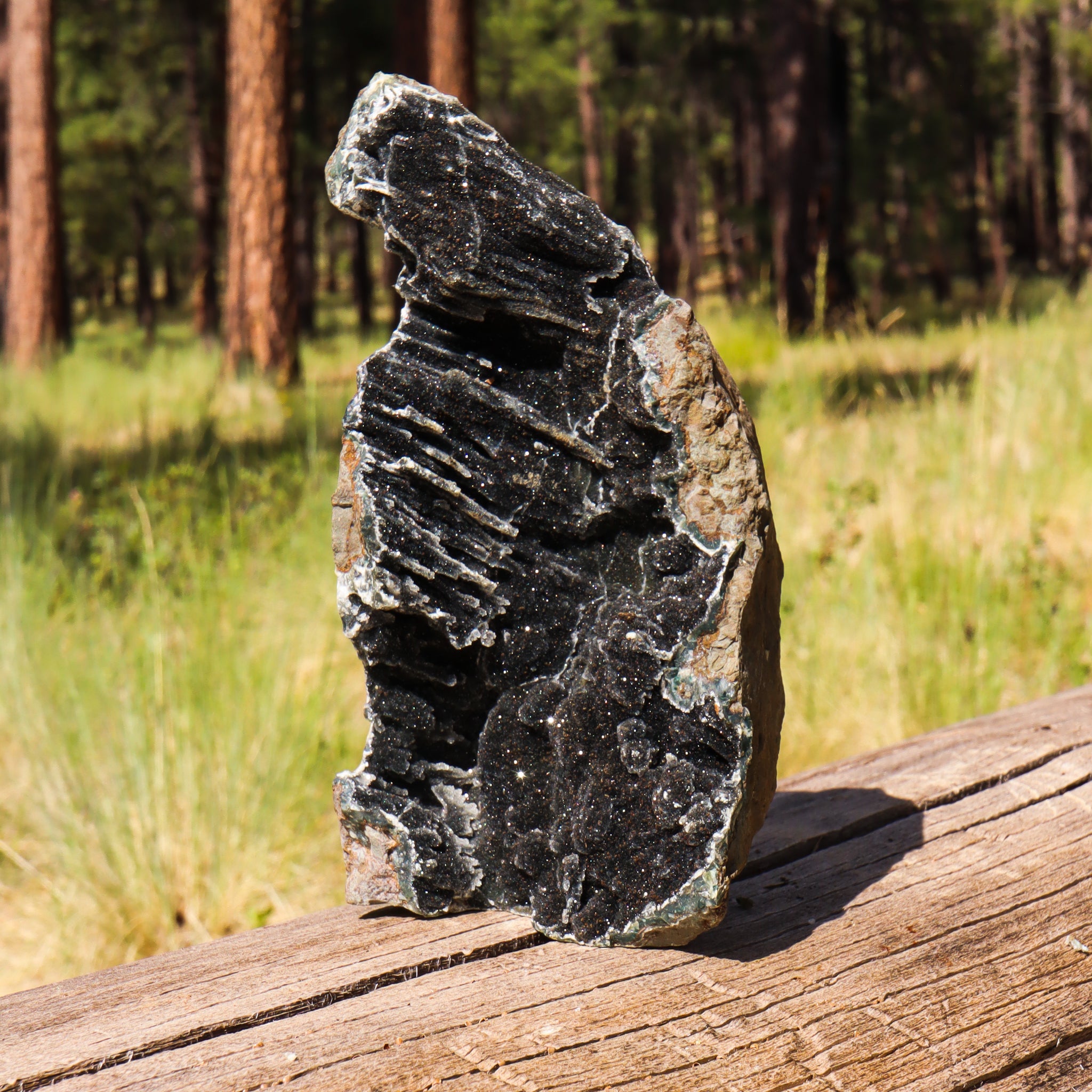 Black Amethyst Geode