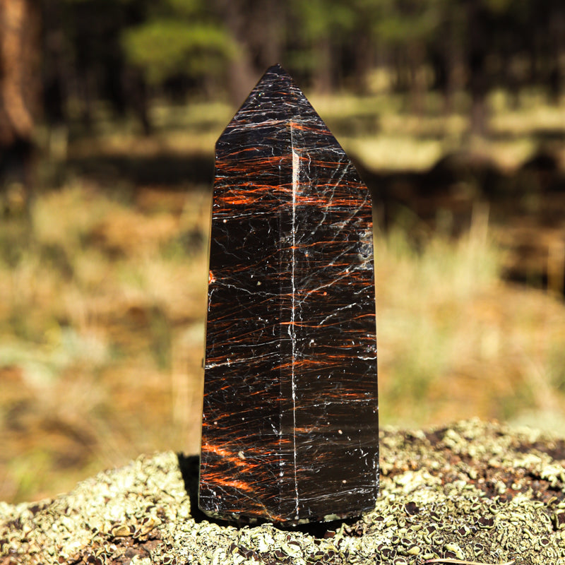 Black Tourmaline Point