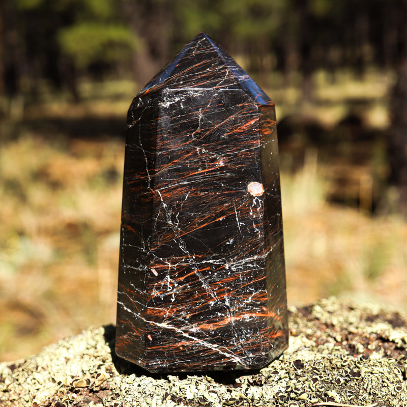 Black Tourmaline Point