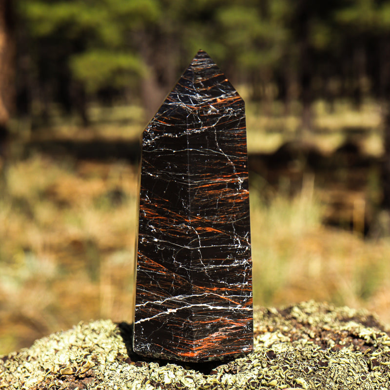 Black Tourmaline Point