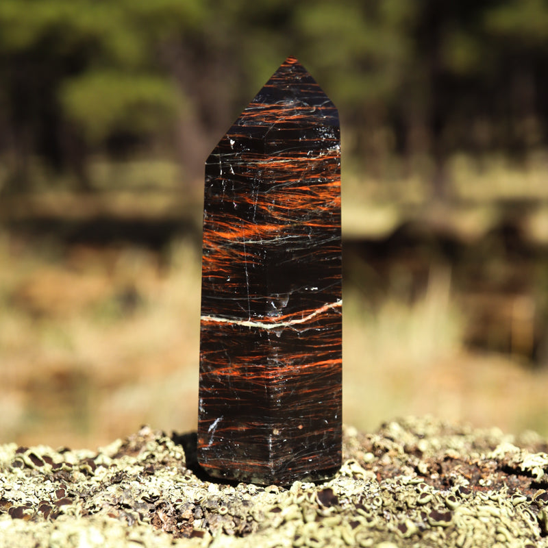 Black Tourmaline Point