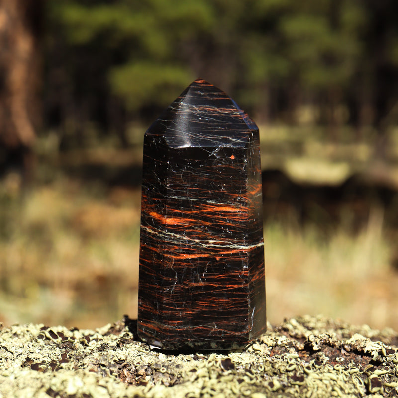 Black Tourmaline Point