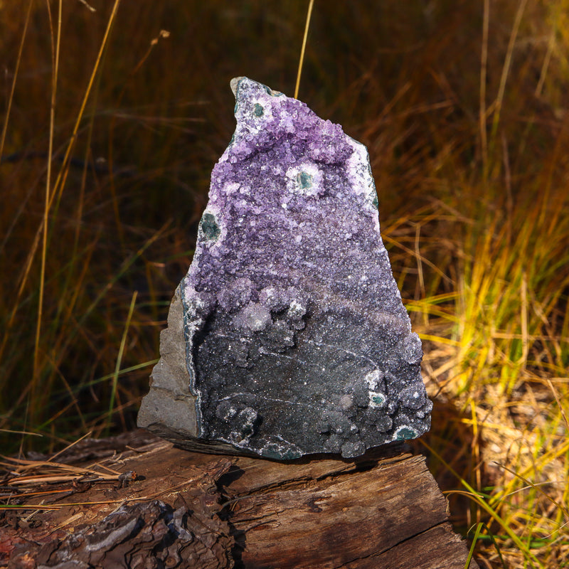 Black Amethyst Geode