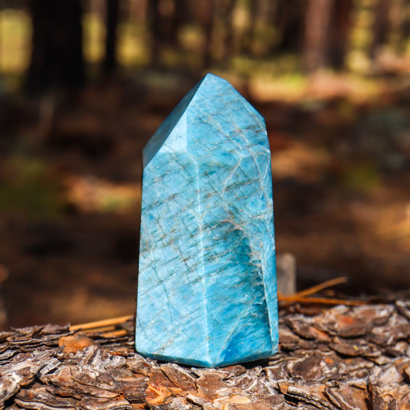 Blue Apatite Point