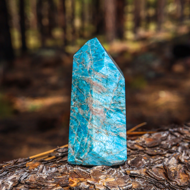 Blue Apatite Point