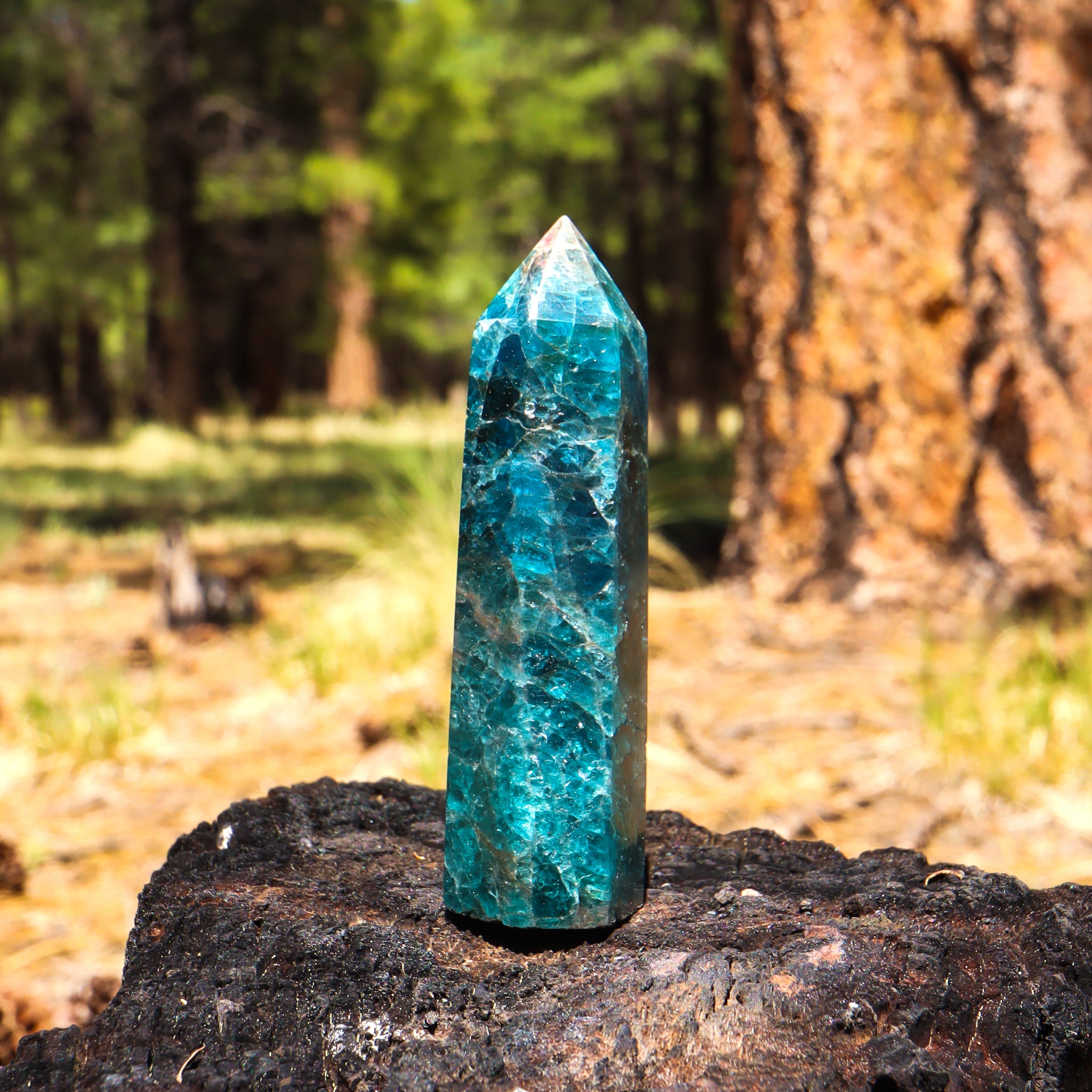 Blue Apatite Point