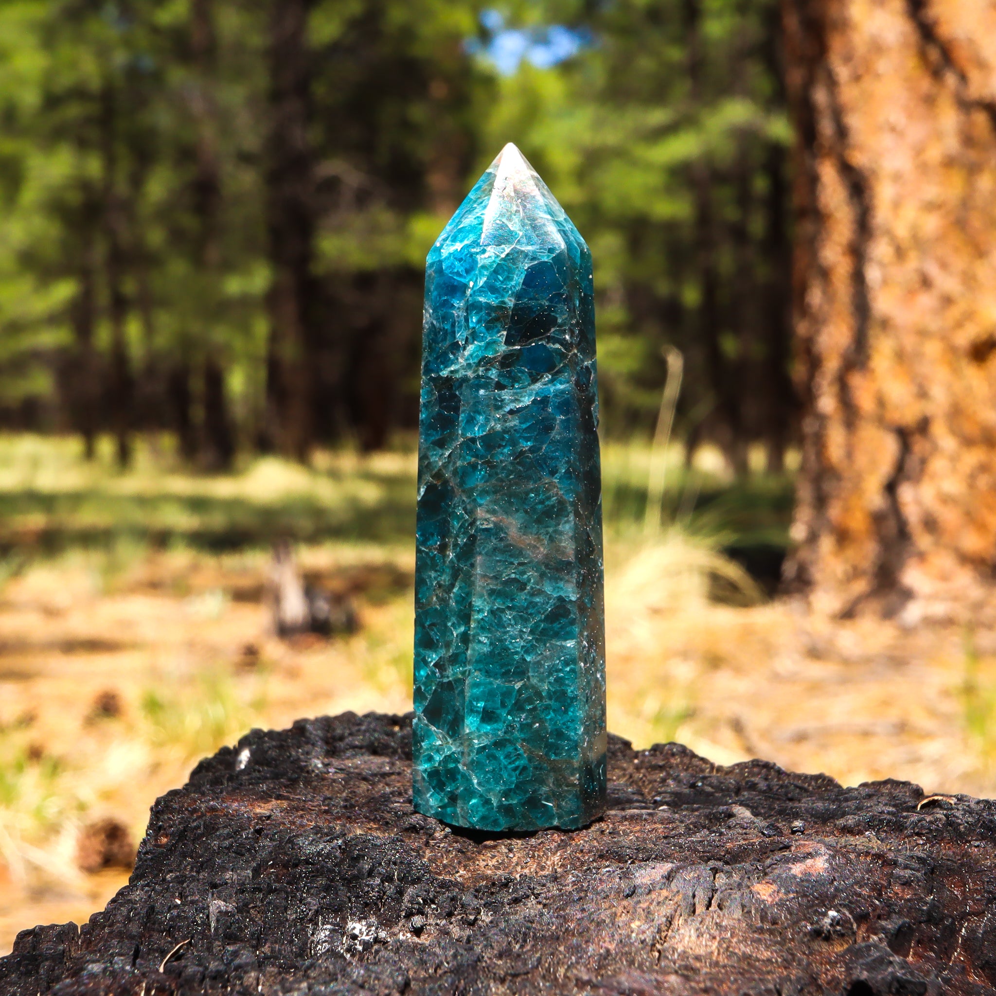 Blue Apatite Point