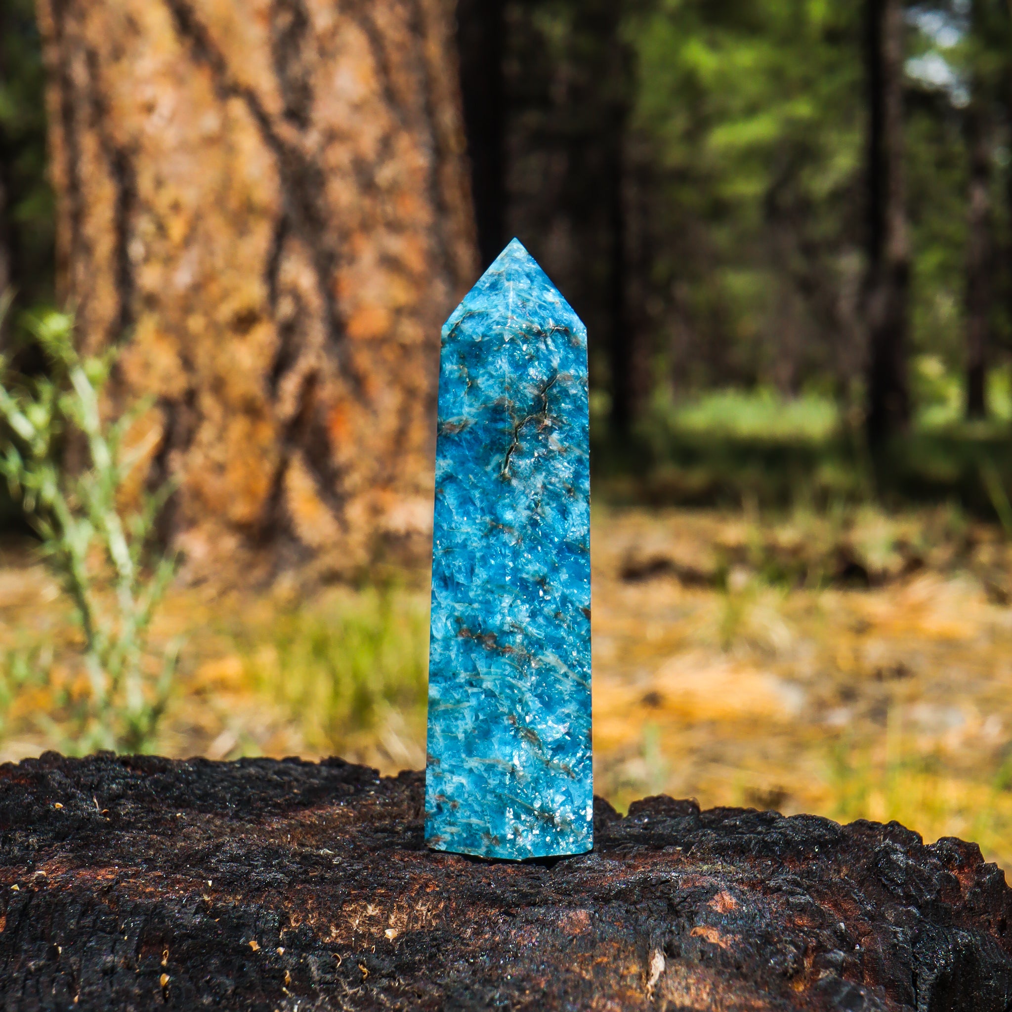 Blue Apatite Point