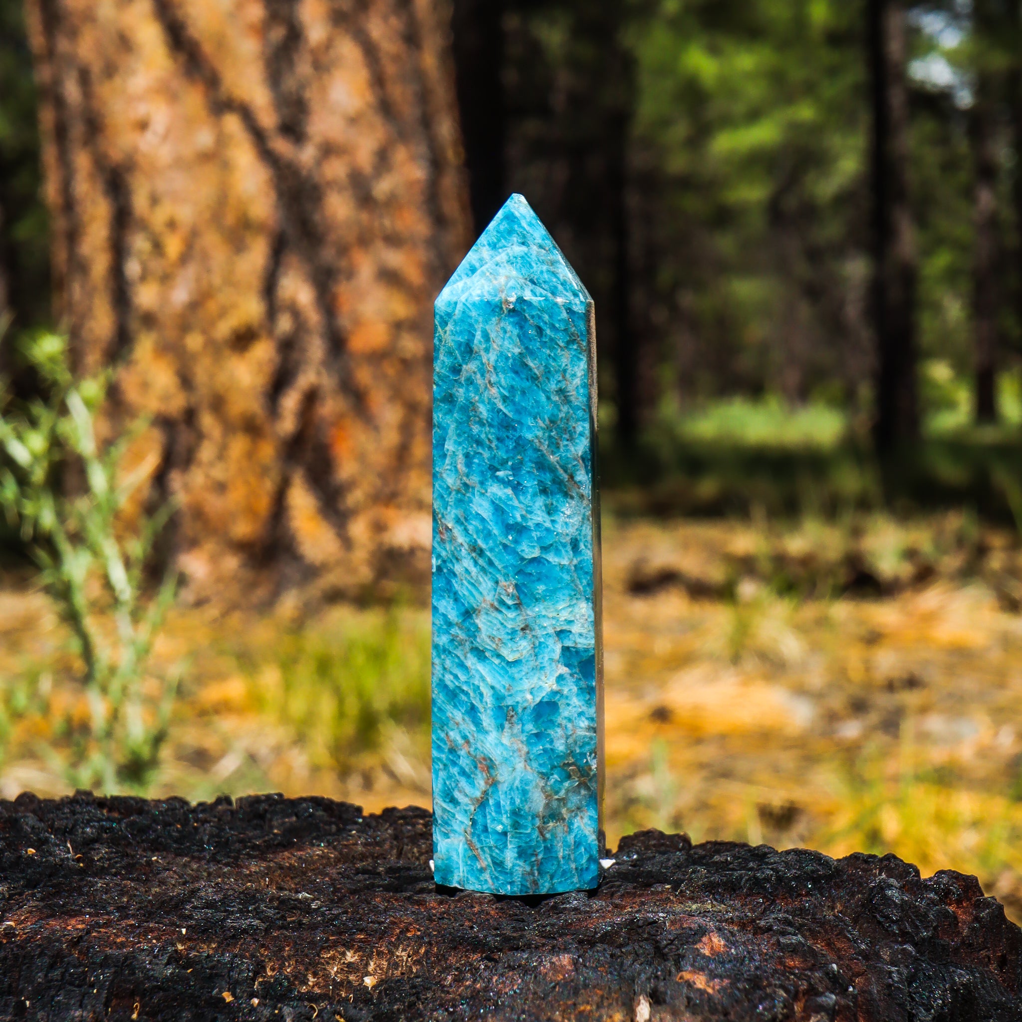 Blue Apatite Point