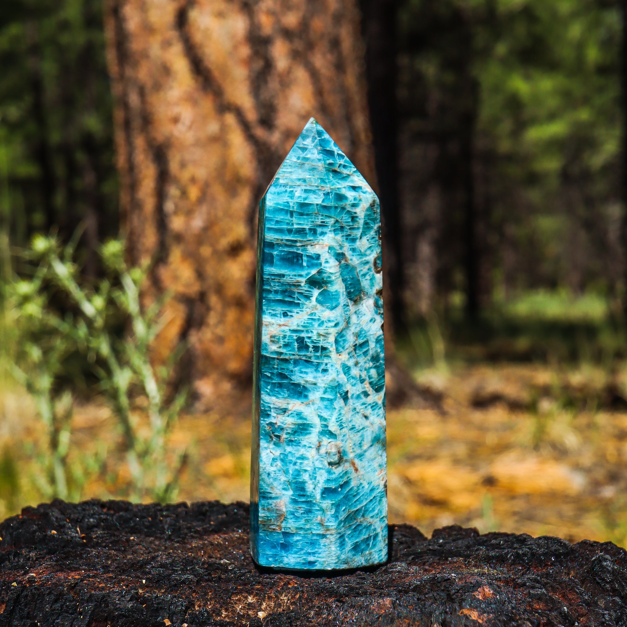 Blue Apatite Point