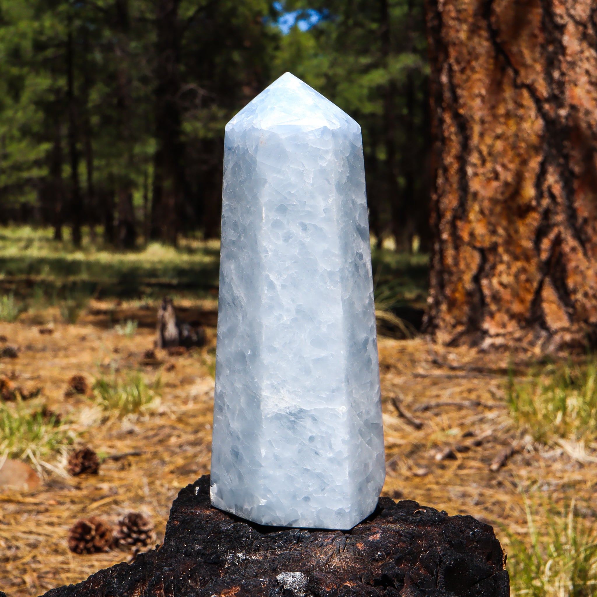 Blue Calcite Point