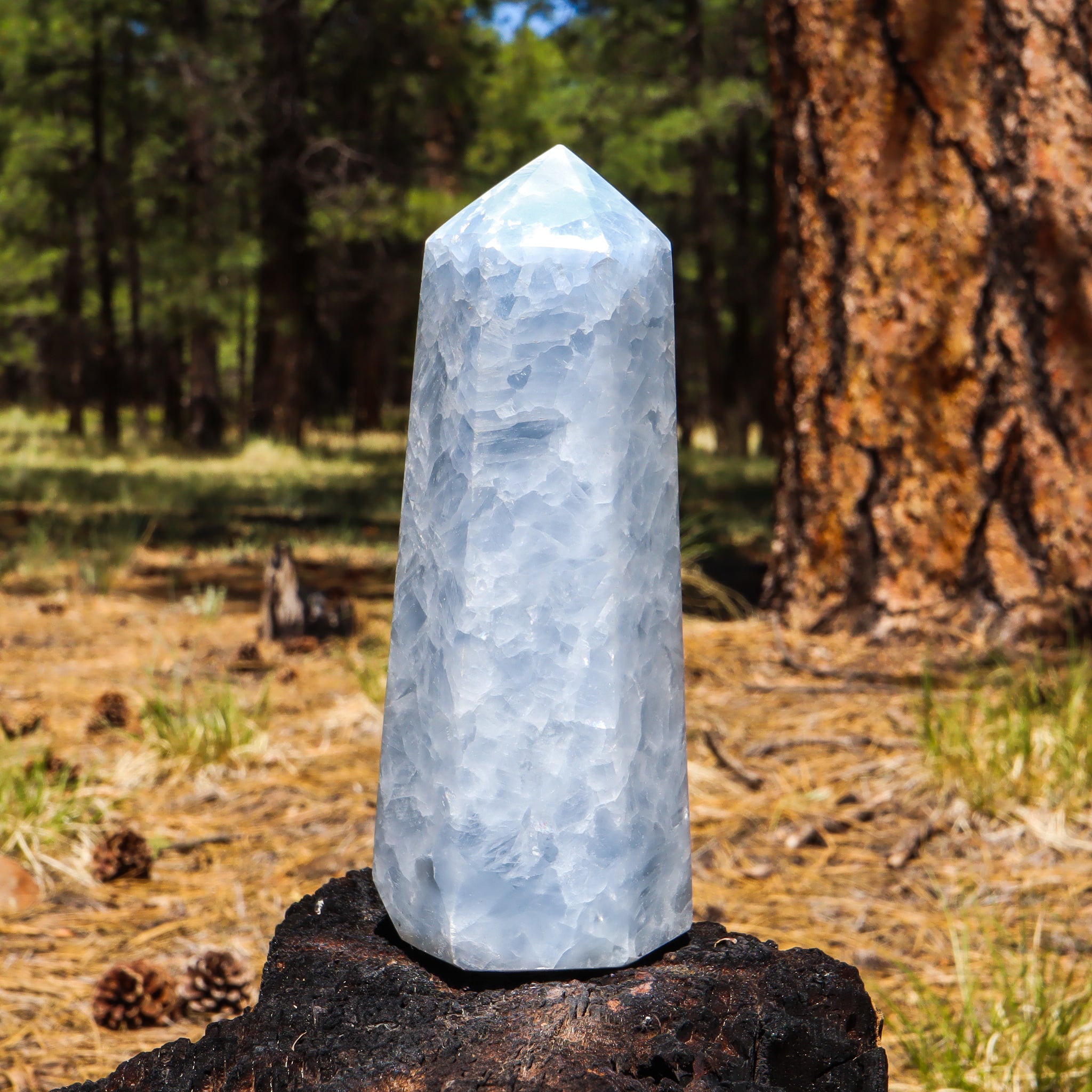 Blue Calcite Point