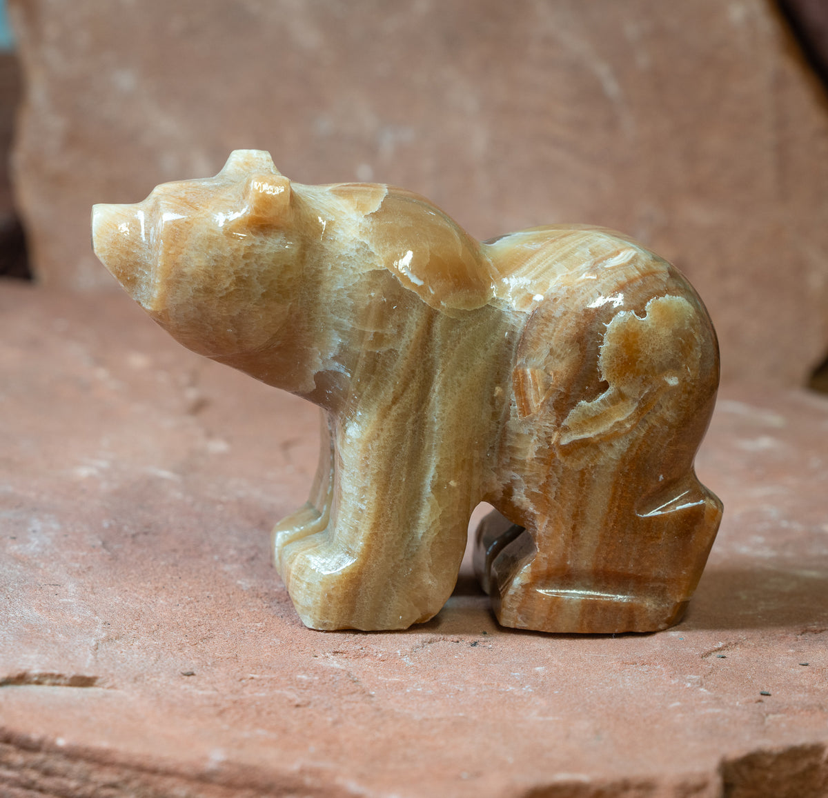Large Brown Aragonite Bear
