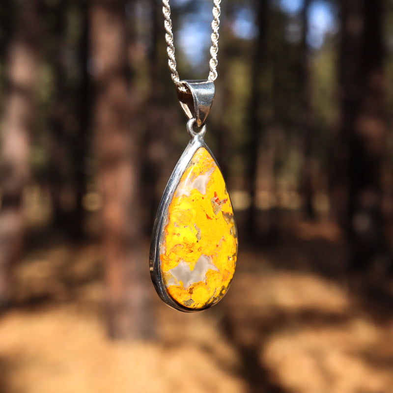 Bumblebee Jasper Pendant