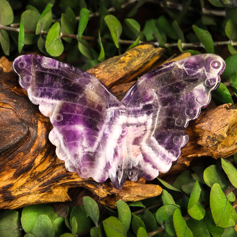 Amethyst Chevron Carved Butterfly