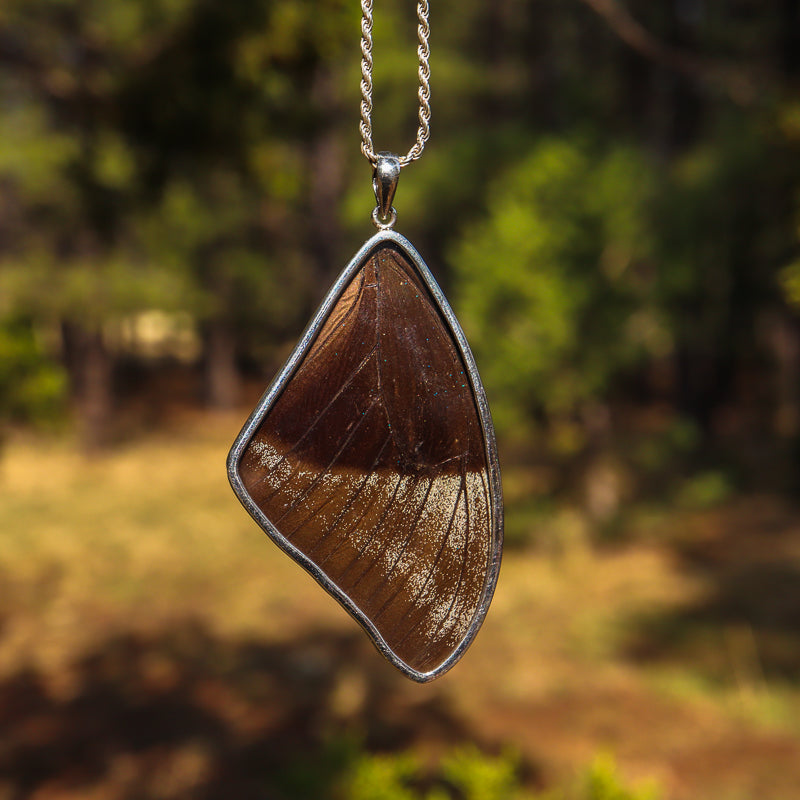 Encased Butterfly Wing Pendant