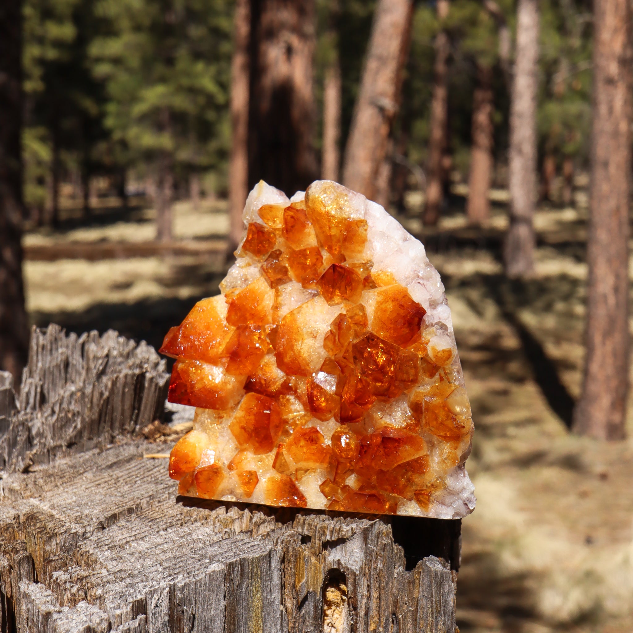 Base Cut Citrine Geode