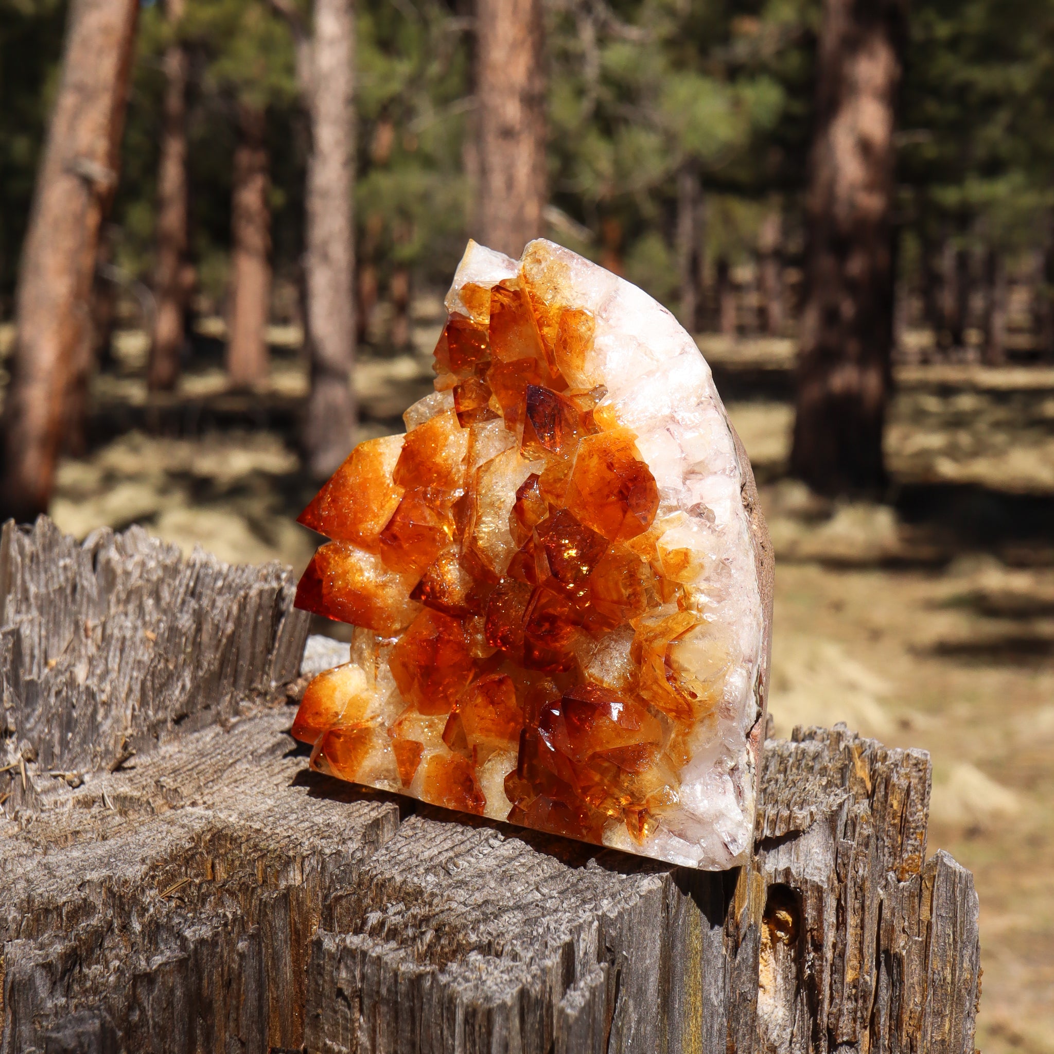 Base Cut Citrine Geode